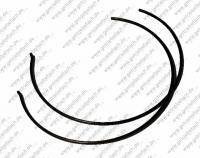 Federring  387 262 08 93