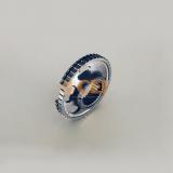 Hohlradtraeger  1367083