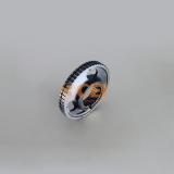 Hohlradtraeger  1367130